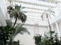 В Астрахани подрядчика попросили ускорить реконструкцию «Октября»