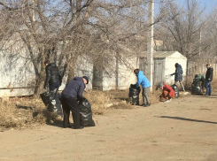 В Астрахани чиновники на улицах убирали мусор и сдирали объявления