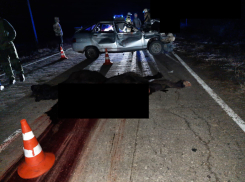 В Астрахани школьник на автомобиле врезался в лошадей и погиб на месте аварии
