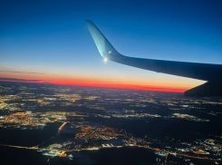 В Астрахани птицы на взлетной полосе аэропорта повредили самолеты