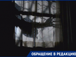 «Я не могу спать ночью» – пенсионерка с Трусовского района Астрахани жалуется на сухостой