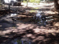 Фонтаны из нечистот: в канализации тонут жители ещё одного дома в Астрахани