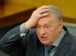 Владимира Жириновского «похоронили заживо»