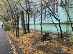 Погода, праздники, именины во вторник 14 ноября 