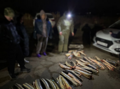 Астраханцев привлекли к уголовной ответственности за добычу ценных рыб