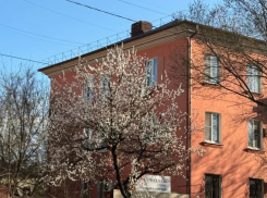 Сирота из Астрахани пожаловался на нарушение жилищных прав главе СКР