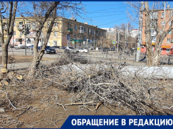 На улице Николая Островского коммунальщики уничтожили зелёные насаждения астраханцев