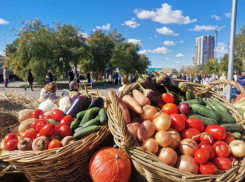 В Астрахани состоится последняя в 2025 году сельхозярмарка у стадиона