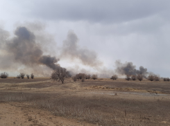 С начала года в регионе зарегистрировано 1190 возгораний