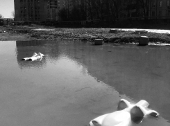 Искусственные части тела, свалка у стен колледжа, дети играют среди отходов: чем еще отличилась Астрахань