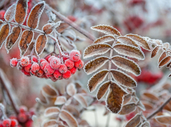 Во вторник в Астрахани ясно, без осадков: прогноз на 13 декабря