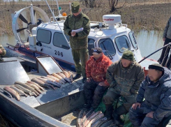 Под Астраханью поймали рыбаков с сотней килограммов осетров на борту