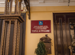 О мостах, собаках и чем нельзя похвастаться: депутаты гордумы приняли отчёт у Марии Пермяковой