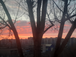 2 января в Астрахани будет по-весеннему тепло