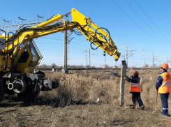 У астраханских железнодорожных путей возведут 200 километров ограждений от скота