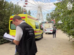 Владельца парка «Планета» в Астрахани посадили за смерть ребенка в бассейне