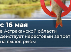 Губернатор призвал астраханцев соблюдать нерестовый запрет
