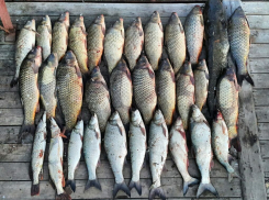Астраханские рыбаки хотели спрятать пять тонн рыбы от пограничников