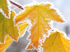 Во вторник в Астрахани будет мороз: прогноз на 29 ноября