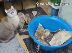 Прокуратура осмотрит аварийный дом в Астрахани, где обрушилась часть потолка