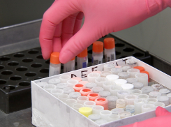 В Астраханской области бушуют два опасных заболевания, одно отступило