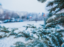 В Астраханской области провалилась под лёд 8-летняя девочка 