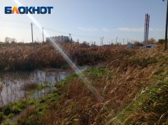 В Астрахани оазис благоустроенности отгородили от фекалий валом