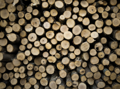 За что в Астрахани полагалась смертная казнь