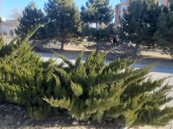 Прогноз погоды, именины, праздники в Астрахани 1 февраля