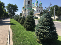 Прогноз погоды, именины, праздники в Астрахани 8 августа 