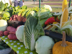Астраханцев приглашают на очередную сельхозярмарку у Центрального стадиона