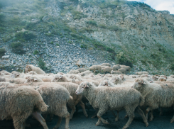 Из-за религиозного праздника в Астрахани ограничат движение