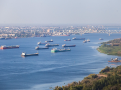 Астраханского губернатора включили в Морскую коллегию указом Президента России