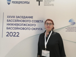Астраханцы приняли участие в заседании Бассейнового совета 