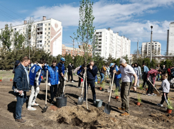 Астраханская область приняла участие во Всероссийском субботнике 