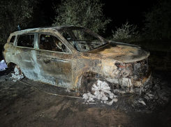 В Астраханской области мужчина сгорел заживо в автомобиле во время отдыха у реки