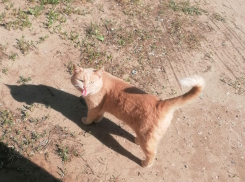 Погода, праздники, именины в четверг 23 мая