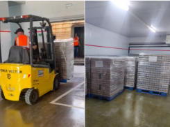 Астраханский хаб впервые получил рыбную продукцию из Ирана