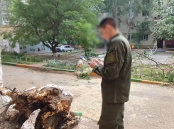 Астраханский следком назвал подозреваемого в деле о гибели девочки под деревом