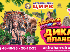 В Астраханском государственном цирке состоится премьера уникальной программы «Дикая планета» 