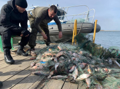 За год астраханская полиция пресекла 544 преступления в сфере рыболовства