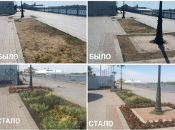 В Астрахани усилили полив растений из-за жары