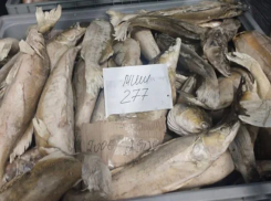 В Астраханской области пресекли сбыт более 75 тонн рыбы без маркировки