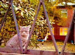 Погода, праздники, именины в пятницу 3 ноября