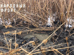 В Астраханской области ерик Дарма почернел от канализационных стоков