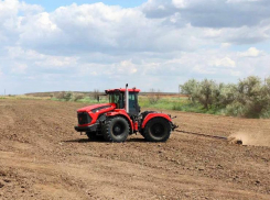 Астраханская область увеличит рисовые поля в шесть раз