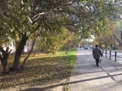 В субботу в Астрахани тепло и безветренно: прогноз на 19 ноября