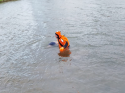 Под Астраханью из реки достали мертвого мужчину