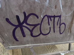 Астраханец вместе с другом разгромил чужую квартиру в прямом эфире