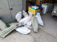 В Астраханской области 4 браконьера нанесли природе ущерб в 10 миллионов рублей 